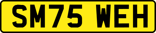 SM75WEH