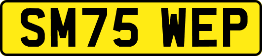 SM75WEP