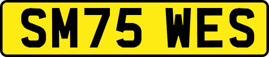 SM75WES