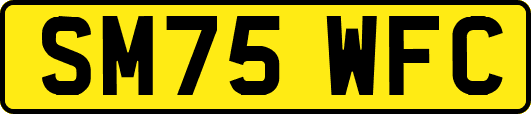 SM75WFC