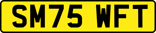SM75WFT