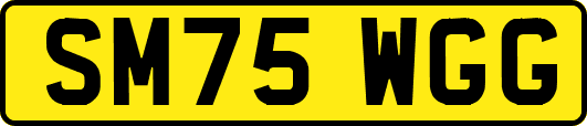 SM75WGG