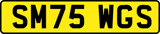 SM75WGS