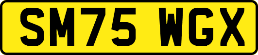 SM75WGX