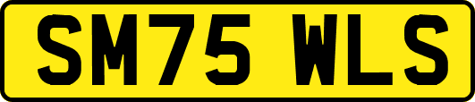 SM75WLS