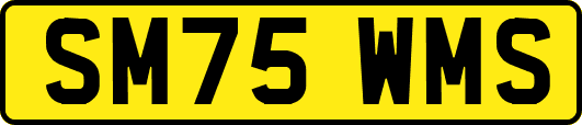 SM75WMS