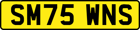 SM75WNS