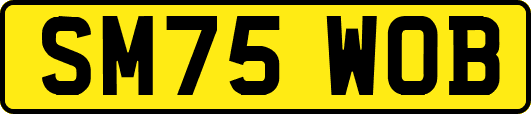 SM75WOB