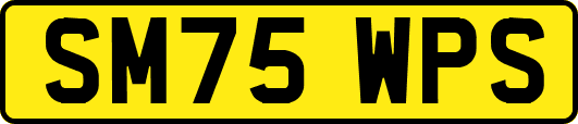 SM75WPS