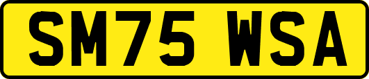 SM75WSA