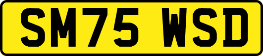 SM75WSD
