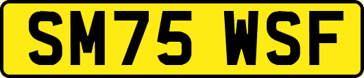 SM75WSF