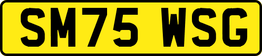SM75WSG