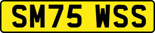 SM75WSS