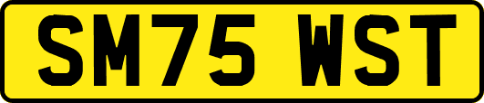 SM75WST