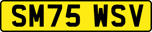 SM75WSV