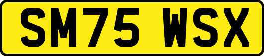 SM75WSX