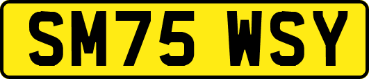 SM75WSY