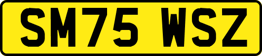 SM75WSZ