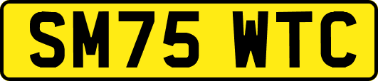 SM75WTC