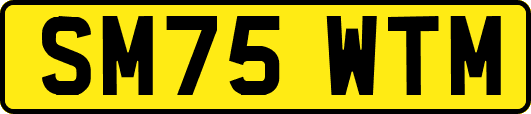 SM75WTM