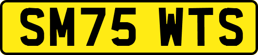 SM75WTS