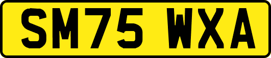 SM75WXA