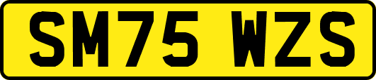 SM75WZS