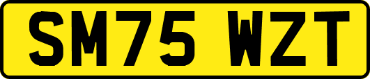 SM75WZT