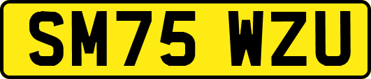 SM75WZU