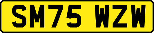 SM75WZW