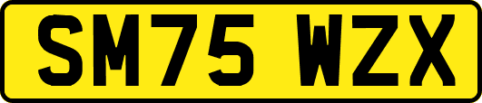 SM75WZX