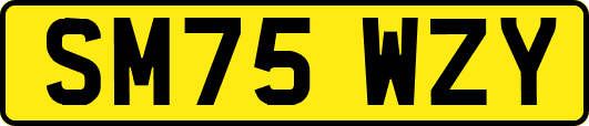 SM75WZY