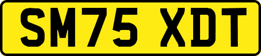 SM75XDT