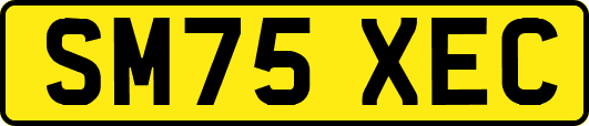 SM75XEC