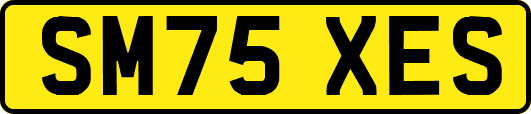 SM75XES