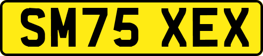 SM75XEX