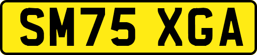 SM75XGA