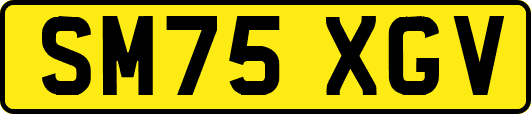 SM75XGV