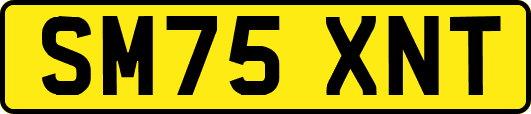SM75XNT