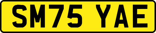 SM75YAE