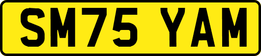 SM75YAM