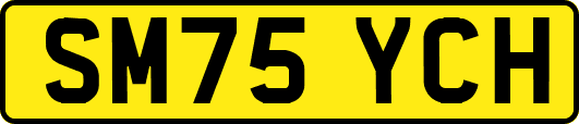 SM75YCH