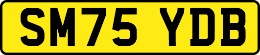 SM75YDB