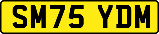 SM75YDM