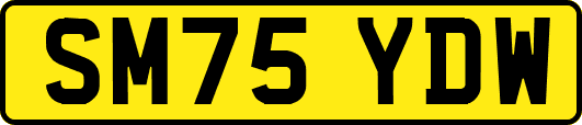 SM75YDW
