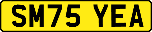 SM75YEA