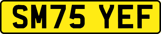 SM75YEF