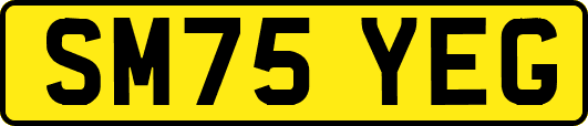 SM75YEG