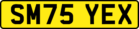 SM75YEX
